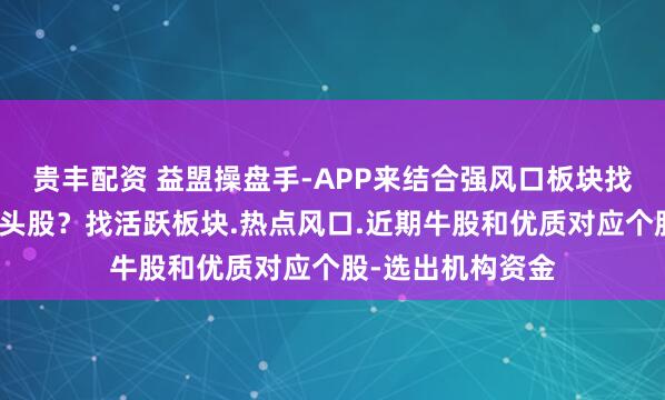贵丰配资 益盟操盘手-APP来结合强风口板块找到相对的行业龙头股？找活跃板块.热点风口.近期牛股和优质对应个股-选出机构资金