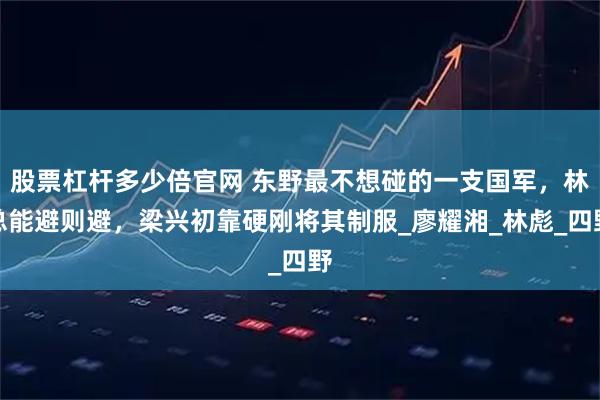 股票杠杆多少倍官网 东野最不想碰的一支国军，林总能避则避，梁兴初靠硬刚将其制服_廖耀湘_林彪_四野